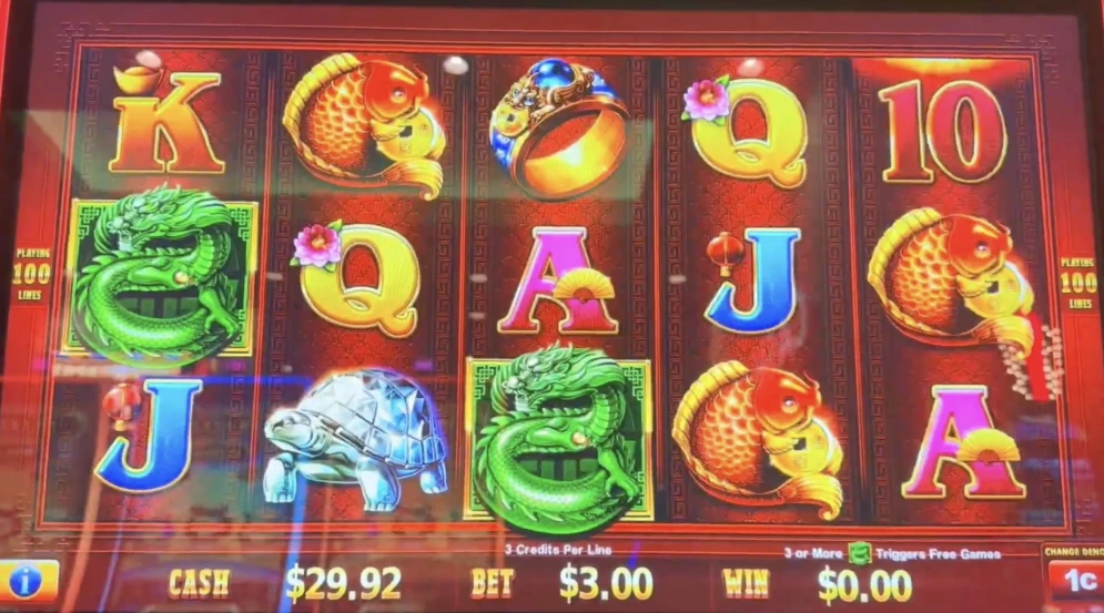 Dragon Train Chi Lin Wins