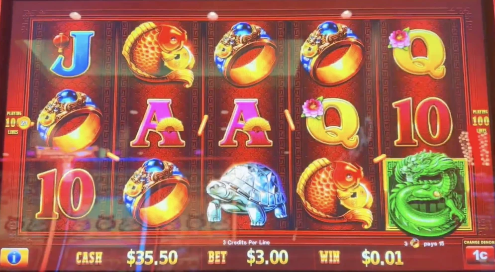 Dragon Train Chi Lin Wins